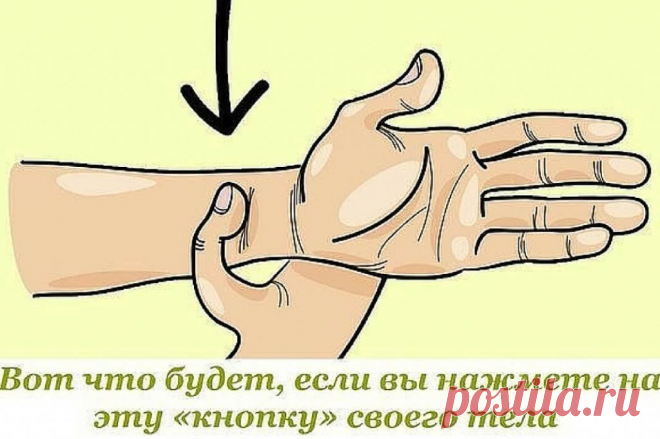 Зажмите в этом месте на 1 минуту и посмотрите, что произойдет с вами! - Хитро