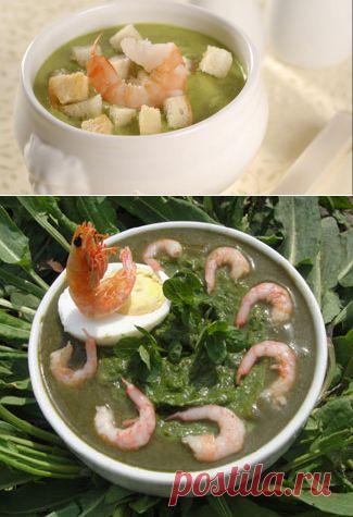 Суп из брокколи с креветками и крутонами