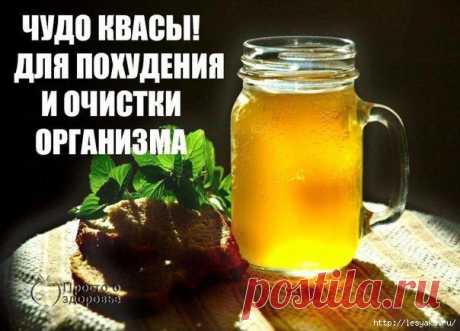 Чудо-квасы для очищения организма и похудения!