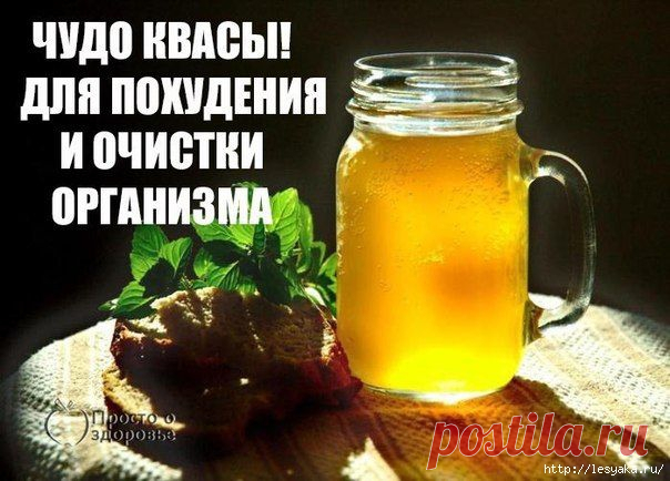 Чудо-квасы для очищения организма и похудения!