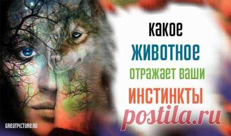 Тест. Какое животное отражает ваши инстинкты