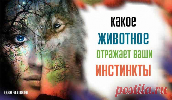 Тест. Какое животное отражает ваши инстинкты