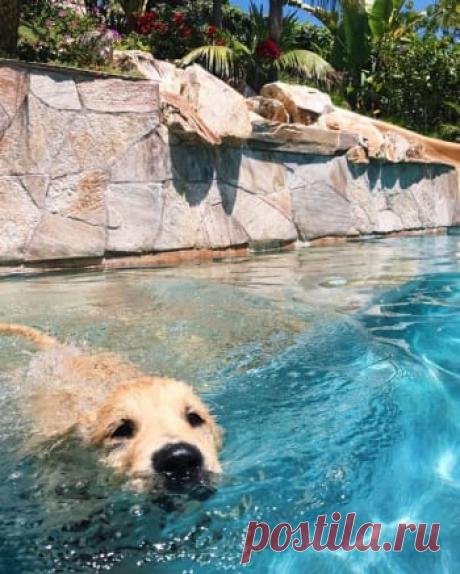 He said make me, The way he just floats away from the wall slowly