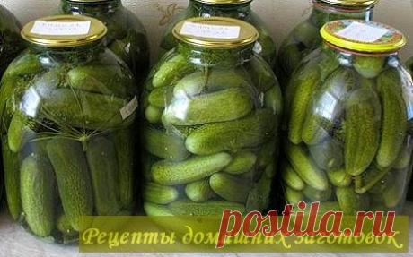 Засолка огурцов с лимонной кислотой | Рецепты домашних заготовок