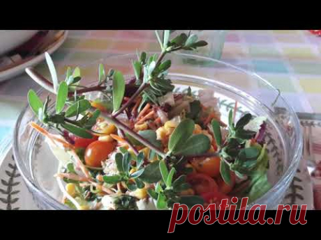 Ecco un'erbaccia magica: la portulaca oleracea!
