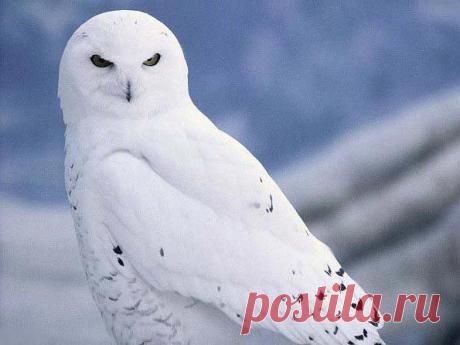 Интересные новости