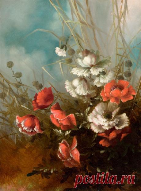 Красные маки | Хвастунишка