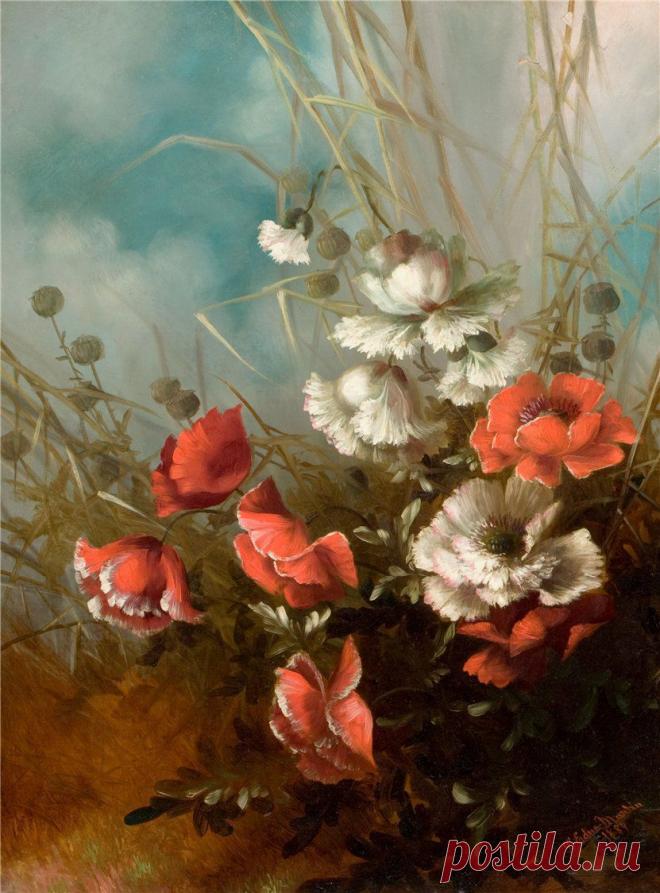 Красные маки | Хвастунишка