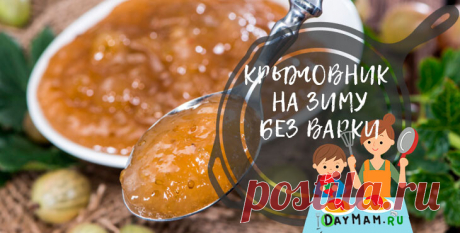 Крыжовник на зиму без варки: лучшие рецепты заготовки Многие могут даже не подозревать, что из крыжовника может получаться очень вкусное и полезное варенье. Есть несколько схожих рецептов его
