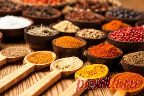 Пряности и приправы: Что и куда класть?!