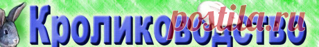 кролиководство - Блюда из крольчатины