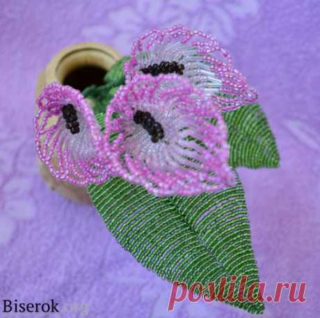 Каллы из бисера.