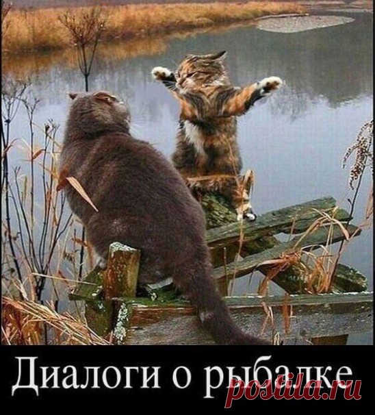 Так это и выглядит со стороны))