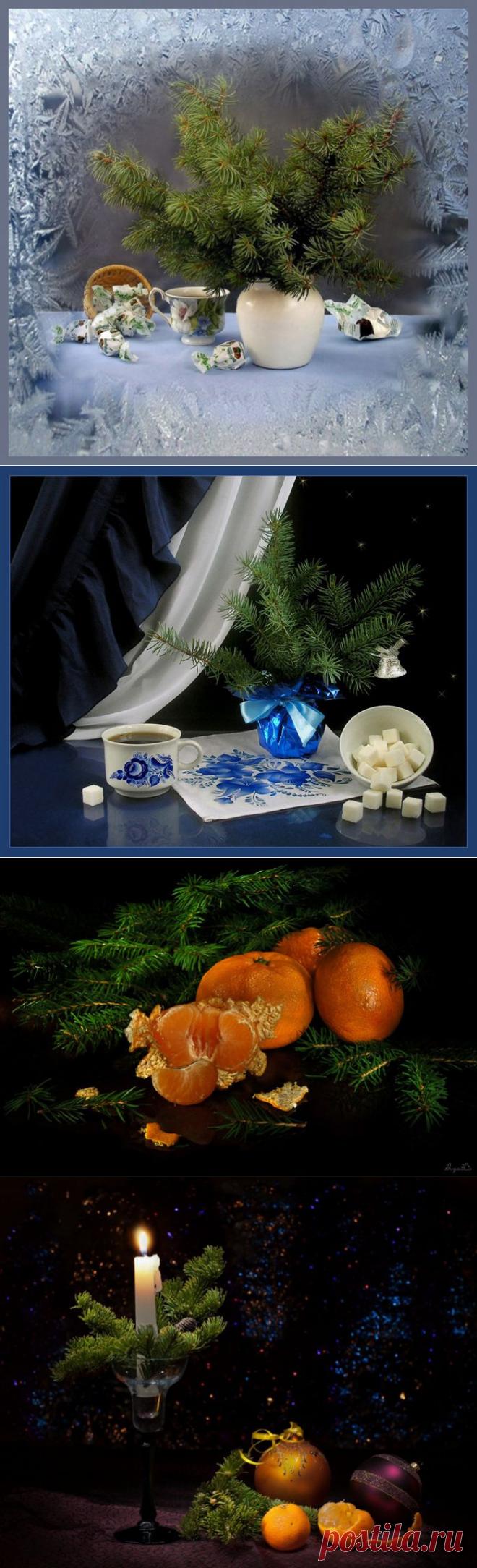 Натюрморт с еловой веткой.