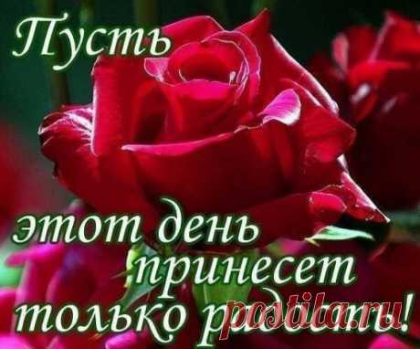 (99) Одноклассники