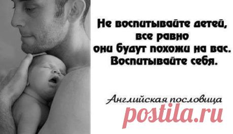 Фотографии Хроники - Манн, Иванов и Фербер