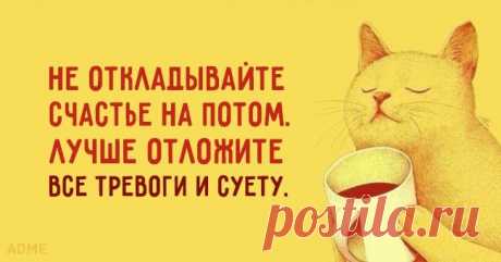 Моя семья. Счастлив тот, кто счастлив у себя дома!