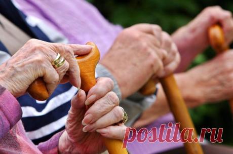 Чем отличается страховая пенсия от социальной пенсии