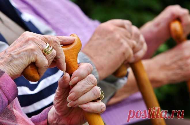 Чем отличается страховая пенсия от социальной пенсии