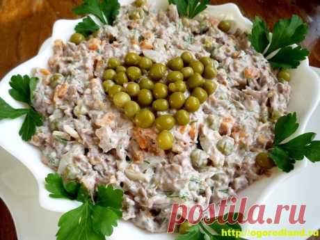 Недорогие и вкусные домашние салаты на скорую руку. Рецепты