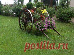 Как избавиться от муравьев?