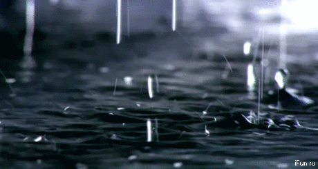902782.gif (500×266)