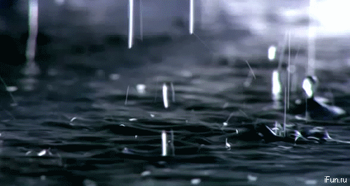 902782.gif (500×266)