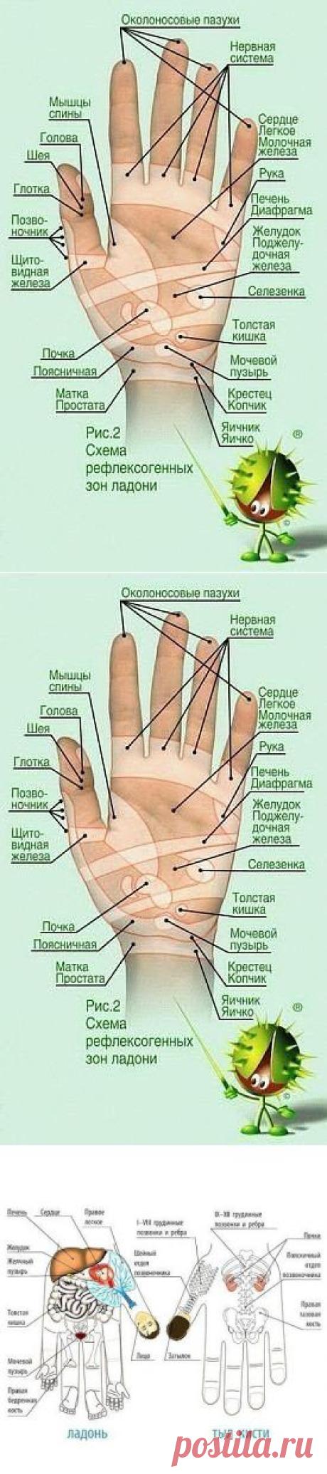 Любопытная методика
