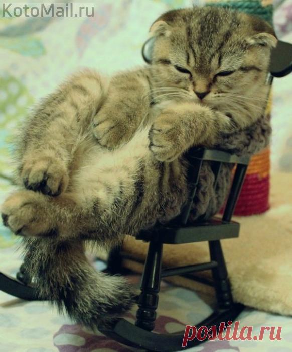 Да что вы знаете о комфорте