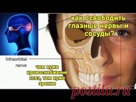 Глаза, мозг, десны и зубы деградируют из-за ЗАЖИМА подглазничного нерва. Методы снятия компрессии