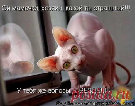 Не раздевайтесь перед сфинксом...