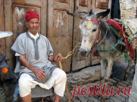 Фес - Венеция в пустыне - Путешествуем вместе