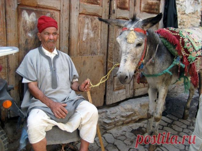 Фес - Венеция в пустыне - Путешествуем вместе