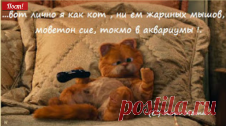 Блог Кота Моти.
Тэкс...ну чо...щас нарисуим зачем, почиму и нахвоста вообче мышня затоптала сваих В ЦАР и нахвоста отправляла и вообче фсё сие...Ибо никто путнява так ничо и ни проквакал..