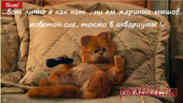 Блог Кота Моти.
Тэкс...ну чо...щас нарисуим зачем, почиму и нахвоста вообче мышня затоптала сваих В ЦАР и нахвоста отправляла и вообче фсё сие...Ибо никто путнява так ничо и ни проквакал..