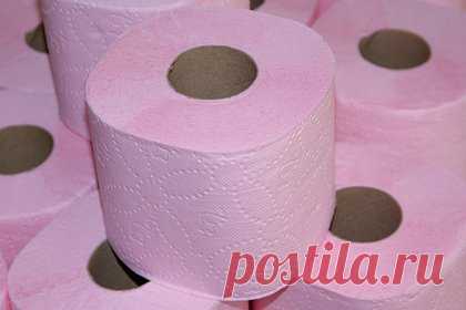 Депутат Госдумы возмутился из-за туалетной бумаги и пожаловался на нее генпрокурору