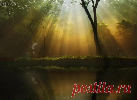 Фотограф Agah Permadi - 13 фото. Фотографии Ольга Дудина.