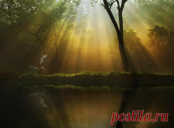 Фотограф Agah Permadi - 13 фото. Фотографии Ольга Дудина.