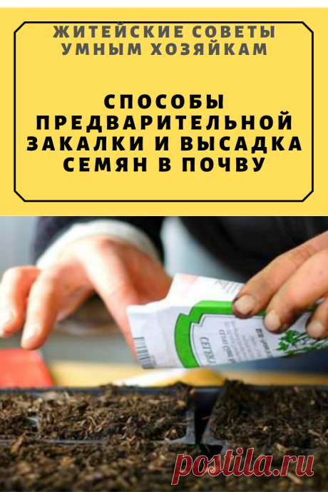 Способы предварительной закалки и высадка семян в почву | Житейские Советы