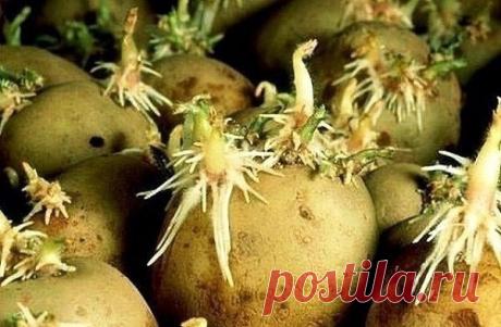 Остеохондроз шейного отдела позвоночника

Это очень распространенная причина головной боли. Дело в том, что из-за остеохондроза происходит сдавливание кровеносных сосудов, ведущих к головному мозгу. В этом случае вам понадобится палочка-выручалочка. Ею может стать обычная ручка от швабры, лыжная палка и даже черенок от лопаты. Возьмитесь левой рукой за один конец палки, а правой за второй.
Получается достаточно широкий хват. Палочку поднимаете вверх и в этом положении начи...