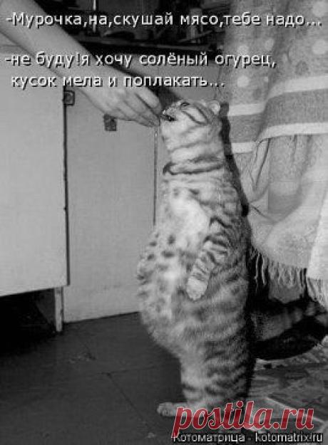 Одноклассники