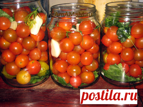 маринованные помидоры черри (без стерилизации)