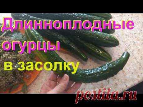 ДЛИННЫЕ ОГУРЦЫ на зиму. Простой Рецепт Вкусного маринада #5