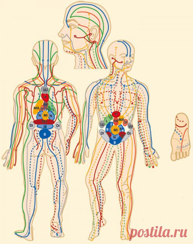 Упражнения, которые помогут при нарушении обмена веществ и проблемах с кожей Восточная медицина утверждает, что кожа отражает состояние всех внутренних органов человека. Результатом нарушения работы желудка, печени, надпочечников и других органов, а также гормональных дисбалансов, эмоционального истощения могут быть такие заболевания кожи, как экзема, угри и т. д.