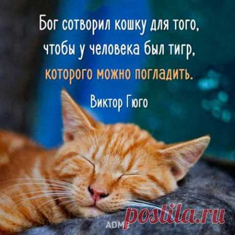(19) Facebook