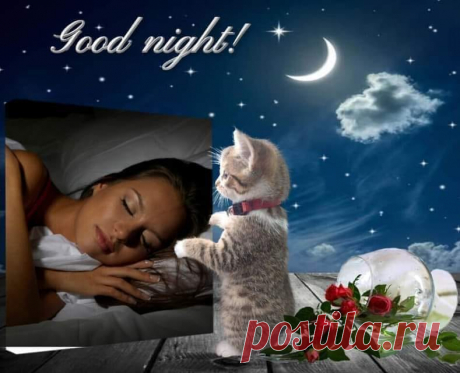 (11) Facebook