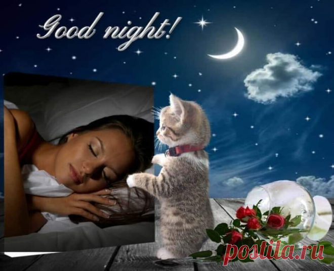 (11) Facebook