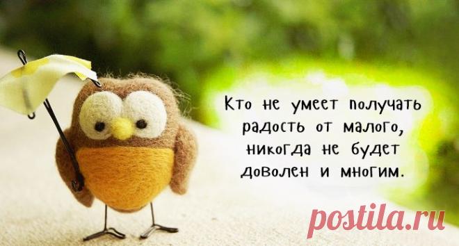Как ярко и точно можно сказать все одной фразой... Задумайтесь…