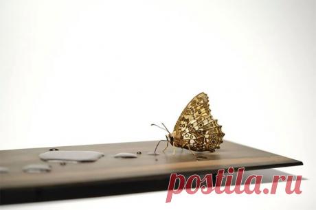 Японский художник вырезает из дерева потрясающие скульптуры, которые