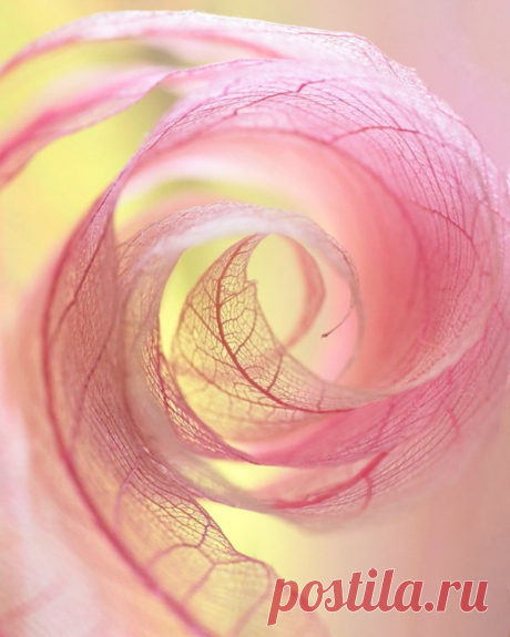 Beautiful Photography by Shihya Kowatari | Art and Design